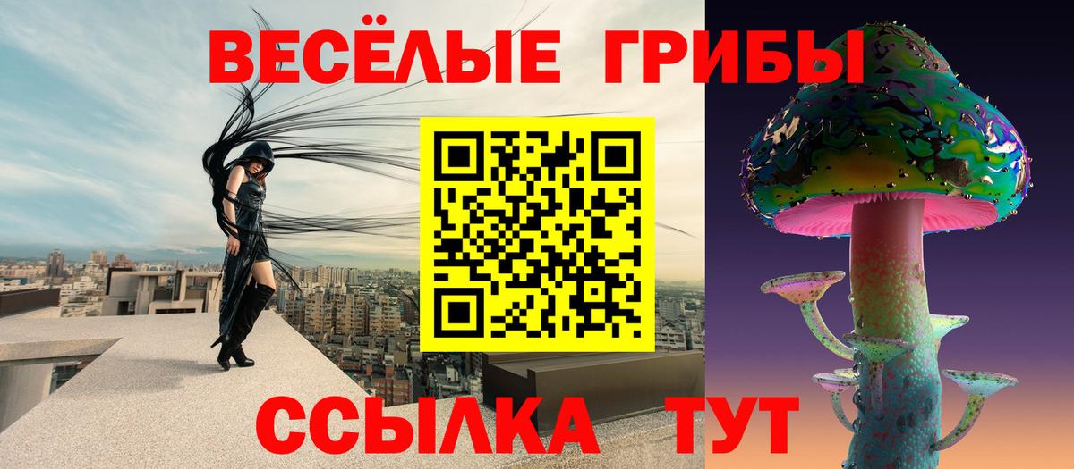 Галлюциногенные грибы прущие грибы Новосибирск