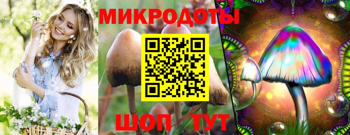 Новосибирск  Псилоцибиновые грибы Psilocybine cubensis  Вход с VPN 